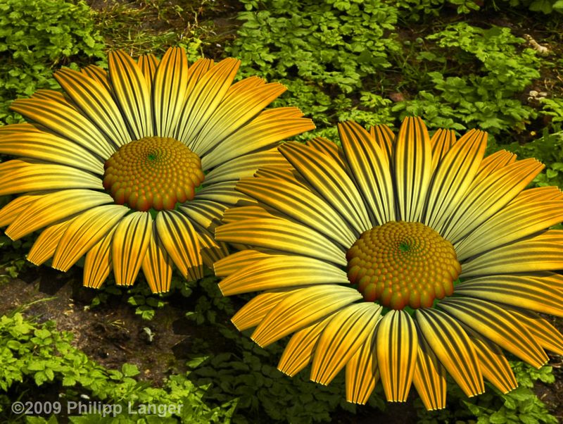 Künstliche Blüten / Artificial Blossoms / 2009