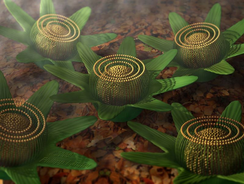 Waldbumen im Morgennebel / Forest Flowers in the Morning Mist / 2009