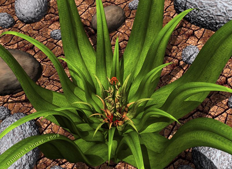 Künstliche Wüstenblume / Artificial Desert Flower / 2009