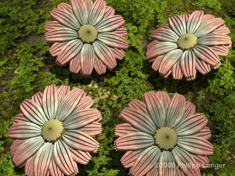 Künstliche Blüten 2 / Artificial Blossoms 2 / 2009
