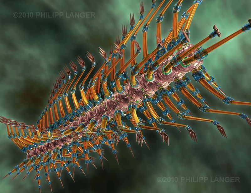 Marines Krebstier / Marine Crustacean / 2010