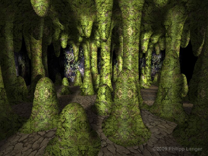 Höhle mit Bewuchs / Cave with Plants / 2009