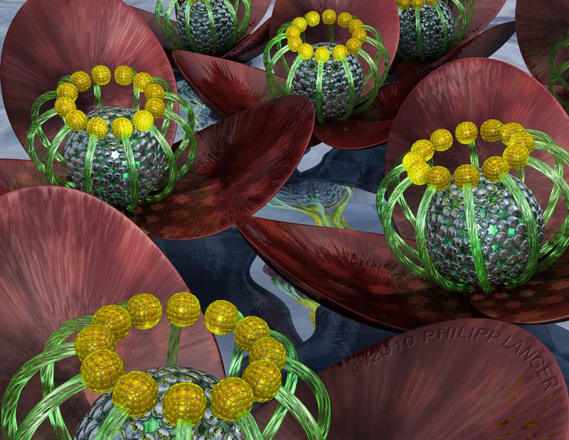 Wasserblumen 2 / Water Flowers 2 / 2010