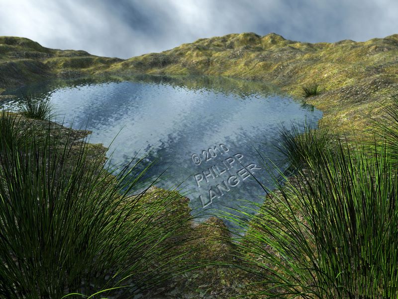 Landschaft mit Tümpel / Landscape with Pond / 2010