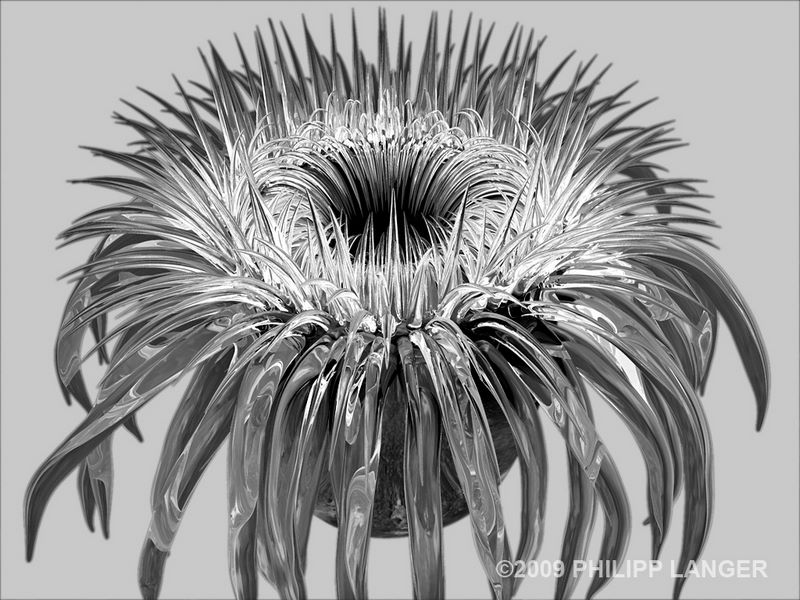 Mikroorganismus mit Exopodien / Microorganism with Tentacles / 2009